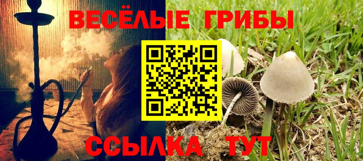 Галлюциногенные грибы мухоморы Благодарный