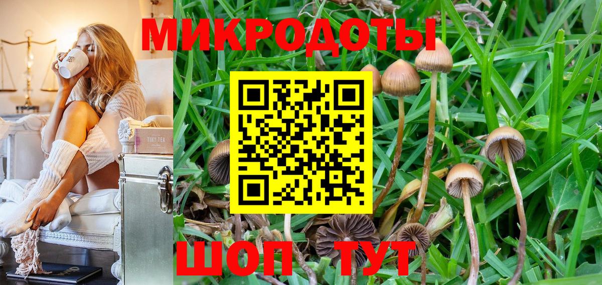 Галлюциногенные грибы MAGIC MUSHROOMS  Вход с VPN  Благодарный 